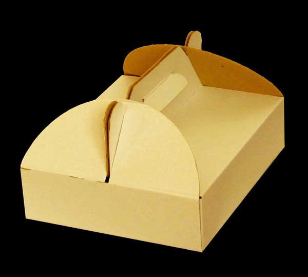 جعبه دستگیره دار حمل غذا