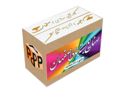 کارتن سازی